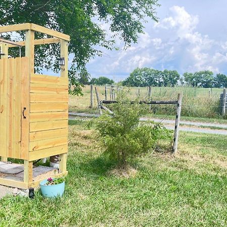 Shenandoah Valley Glamping - Amazing Views - Farm Edinburg Extérieur photo