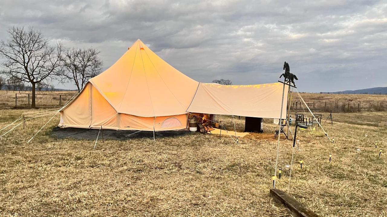 Shenandoah Valley Glamping - Amazing Views - Farm Edinburg Extérieur photo
