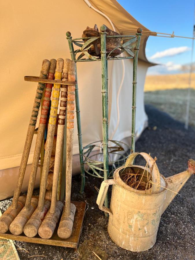 Shenandoah Valley Glamping - Amazing Views - Farm Edinburg Extérieur photo