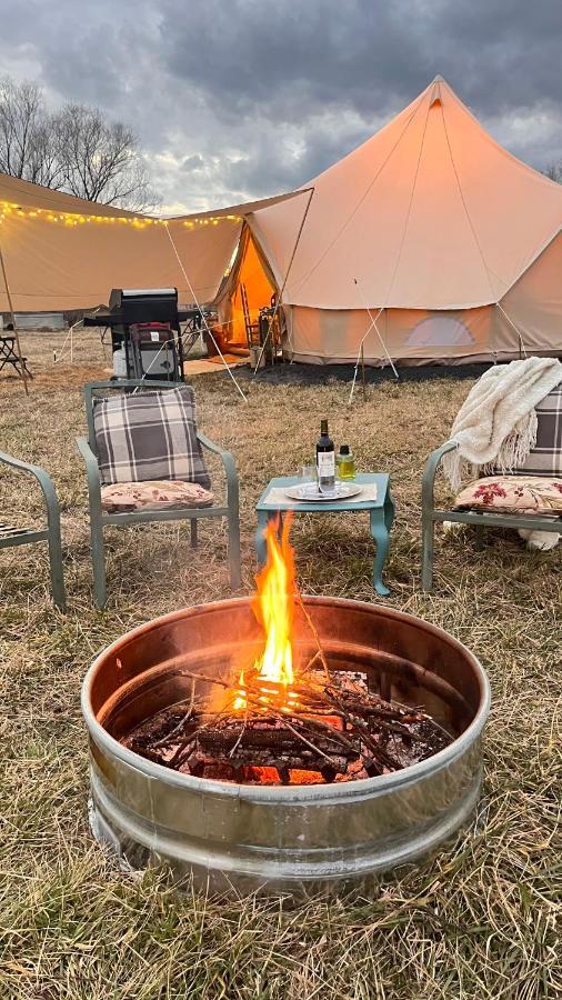 Shenandoah Valley Glamping - Amazing Views - Farm Edinburg Extérieur photo