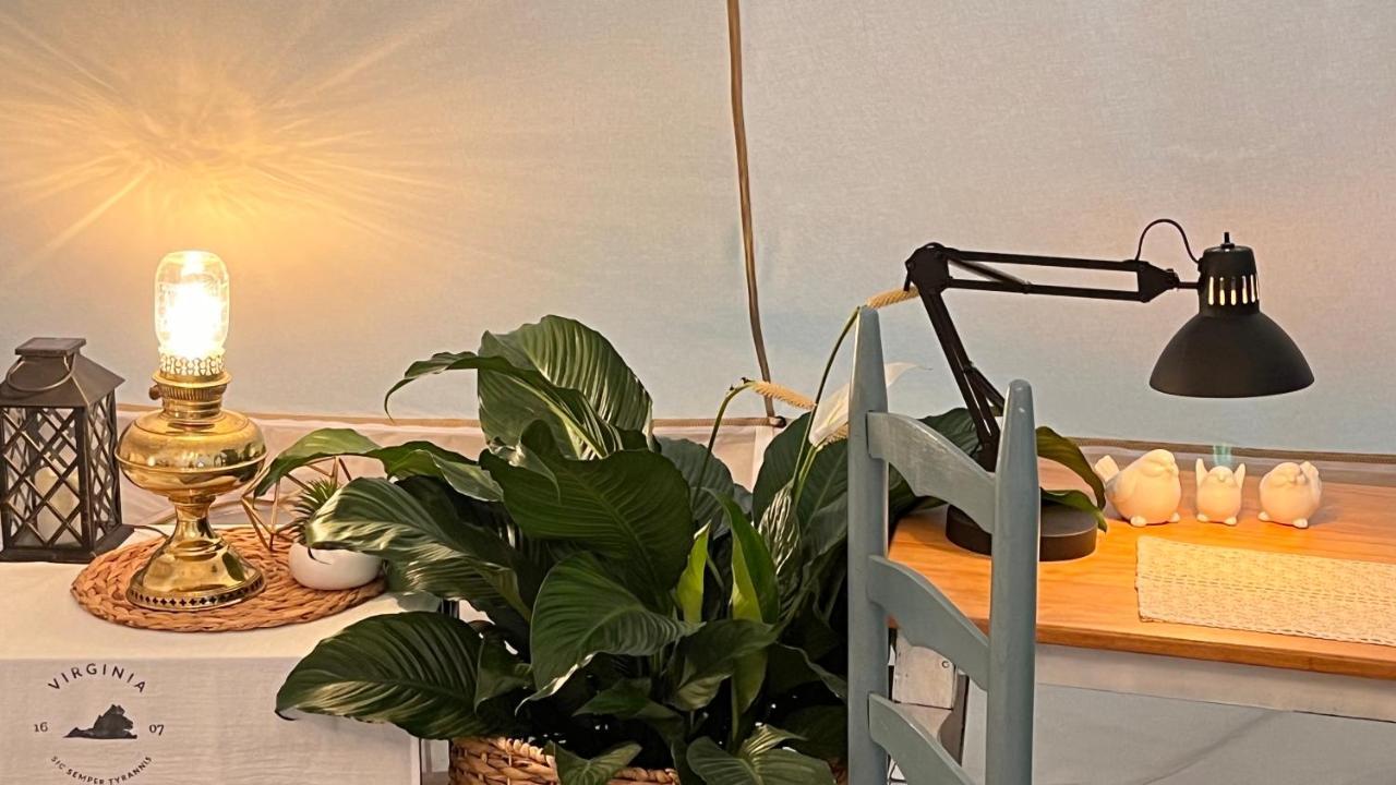 Shenandoah Valley Glamping - Amazing Views - Farm Edinburg Extérieur photo
