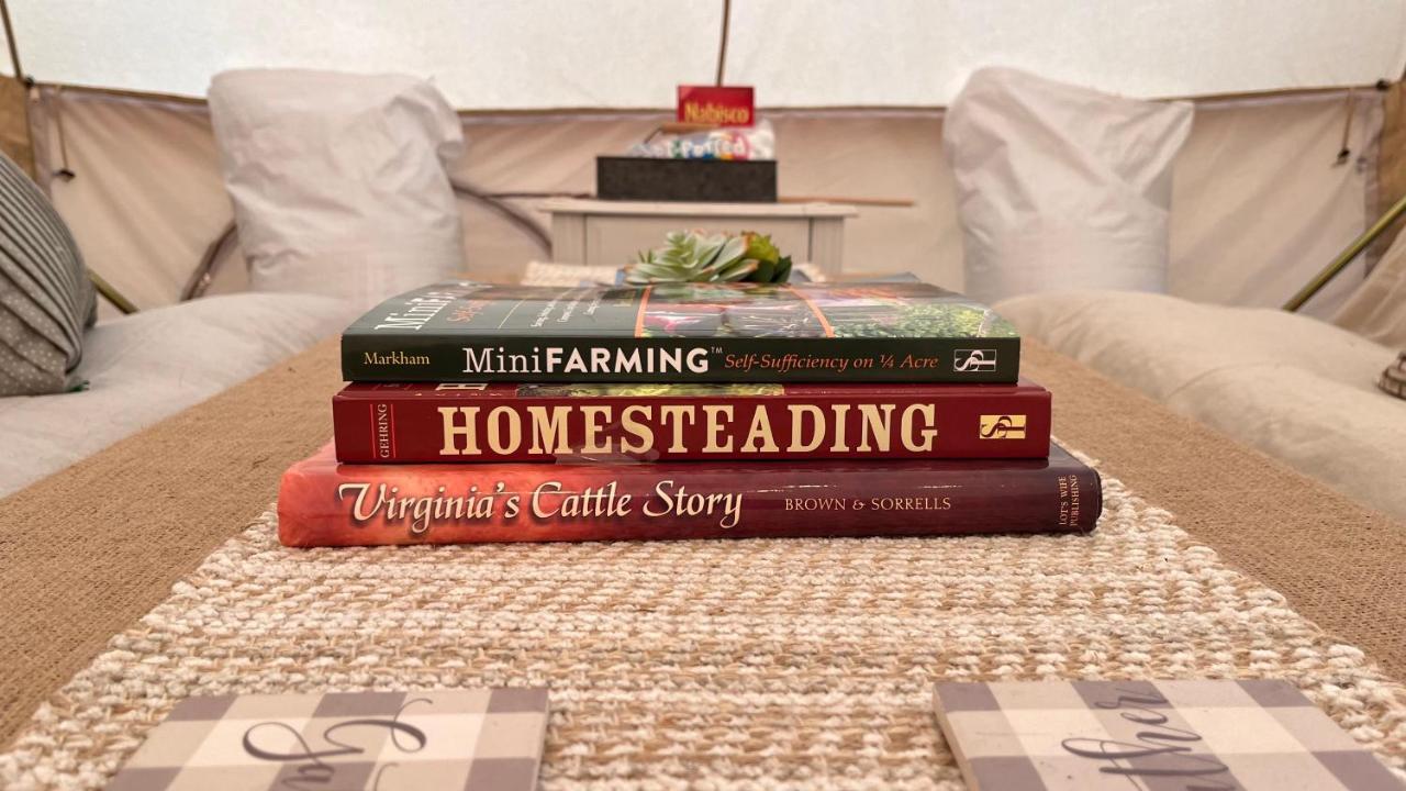 Shenandoah Valley Glamping - Amazing Views - Farm Edinburg Extérieur photo