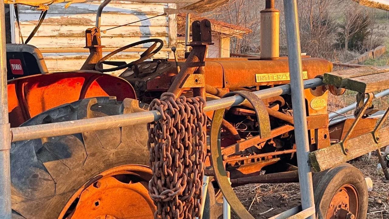Shenandoah Valley Glamping - Amazing Views - Farm Edinburg Extérieur photo