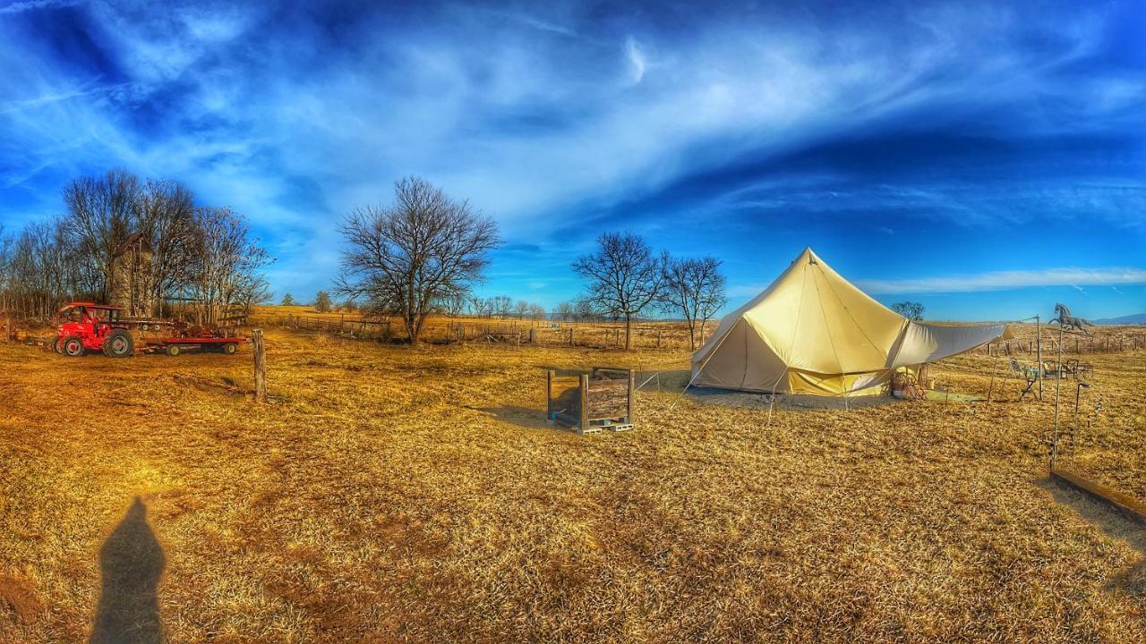 Shenandoah Valley Glamping - Amazing Views - Farm Edinburg Extérieur photo