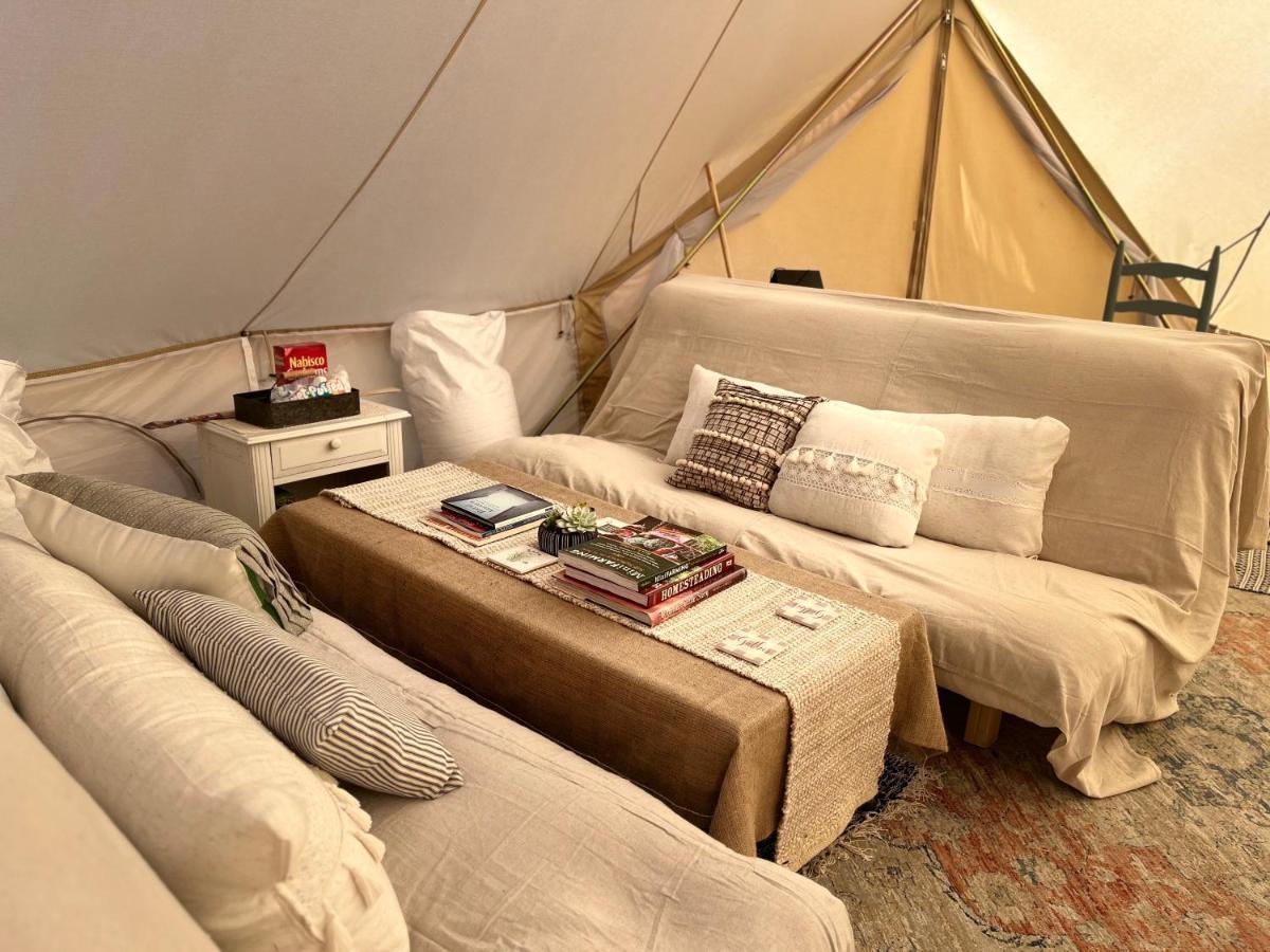 Shenandoah Valley Glamping - Amazing Views - Farm Edinburg Extérieur photo