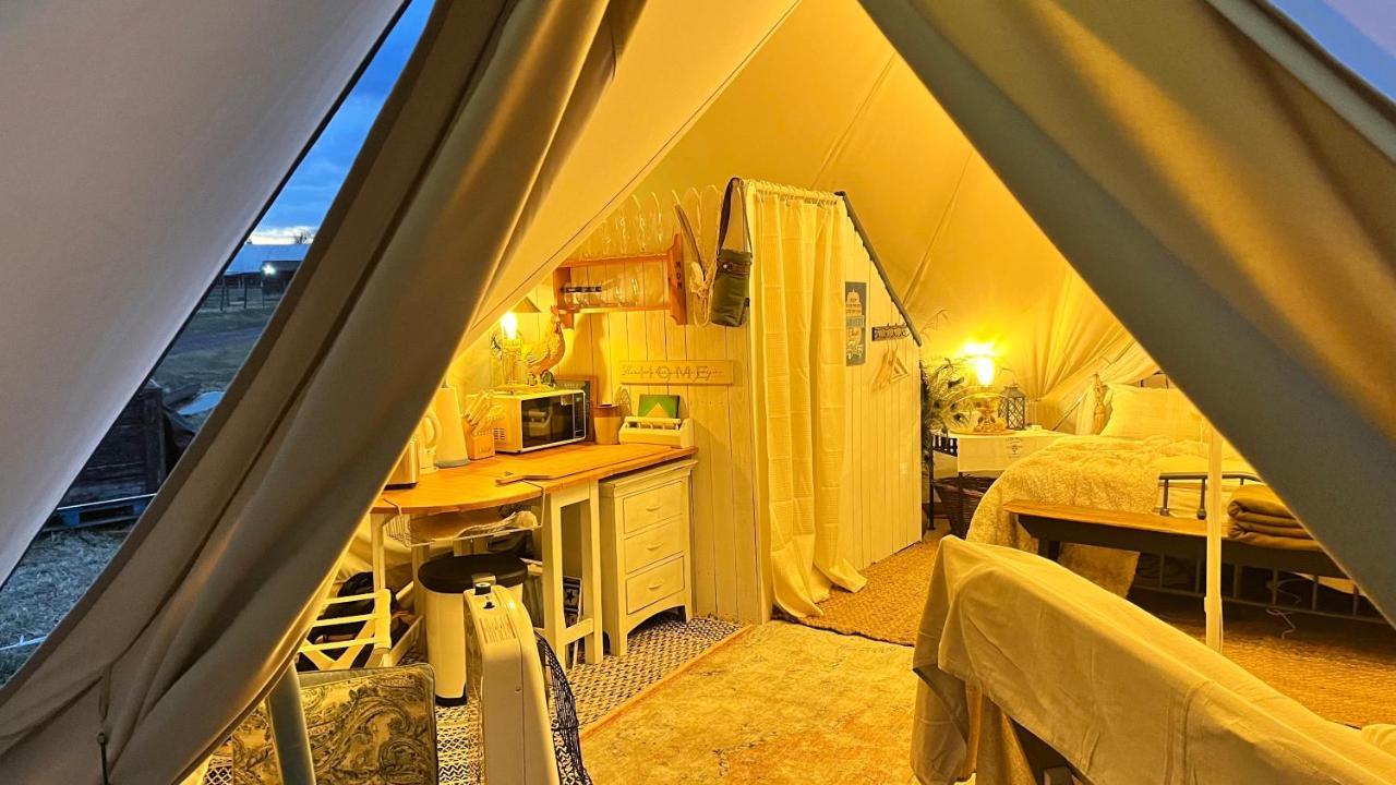 Shenandoah Valley Glamping - Amazing Views - Farm Edinburg Extérieur photo